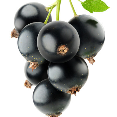 Blackcurrant - Decadent Vapours Flavouring