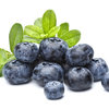 Blueberry - Decadent Vapours Flavouring