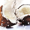 Coconut - Decadent Vapours Flavouring