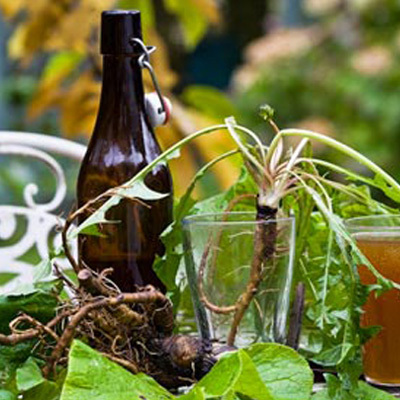 Dandelion & Burdock - Decadent Vapours Flavouring