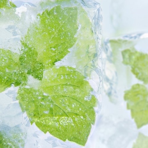 Menthol - Decadent Vapours Flavouring