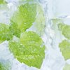 Menthol - Decadent Vapours Flavouring