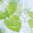 Menthol - Decadent Vapours Flavouring