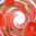 Strawberrino - Decadent Vapours Flavouring