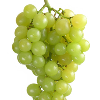 White Grape - Decadent Vapours Flavouring