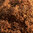 American Red - Decadent Vapours Flavouring