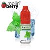 Ice Mint - Molinberry Flavour Concentrate 10ml