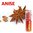 Anise - DKS Plus Flavour Concentrate 10ml