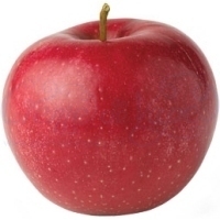 Apple Flavour Concentrate - 10ml