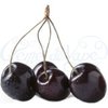 Black Cherry Flavour Concentrate - 10ml