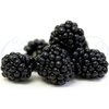 Blackberry Flavour Concentrate - 10ml