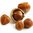 Hazelnut Flavour Concentrate - 10ml