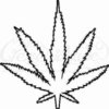 Mary Jane Flavour Concentrate - 10ml