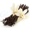 French Vanilla Flavour Concentrate - 10ml