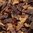 Tobacco (Perfumed) Flavour Concentrate - 10ml
