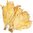 Tobacco (Flue Cured) Flavour Concentrate - 10ml