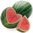 Watermelon Flavour Concentrate - 10ml