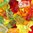 Gummy Sweets Flavour Concentrate - 10ml