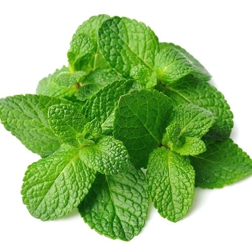 Spearmint by Cloudelier - 10ml - 6mg