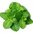 Spearmint by Cloudelier - 10ml - 6mg