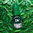 Mentholyptus by Decadent Vapours - 10ml
