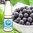 Blackcurrant by Valley liquids - 10ml