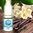 Vanilla by Valley liquids - 10ml