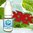 XXX Menthol by Valley liquids - 10ml