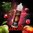 Hakuna by Twelve Monkeys - 50ml Shortfill