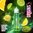 Lemur by Twelve Monkeys - 50ml Shortfill