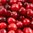 Cranberry concentrate by TFA - 15ml